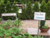 dscf1537-001